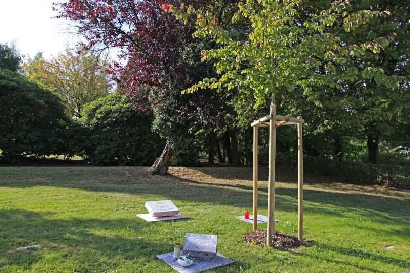 Auf den Wilnsdorfer Friedhöfen können Verstorbene seit kurzem auch in sogenannten Urnennaturgräbern beigesetzt werden. (Foto: Gemeinde Wilnsdorf)