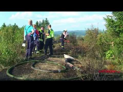 Großflächiger Waldbrand am Weidenauer Kornberg