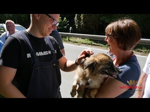 Feuerwehr als Retter in der Not! Hund Lucy aus Kanalisation befreit (Wilnsdorf/NRW)