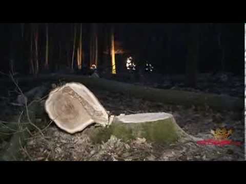 Waldarbeiter beim Baumfällen tödlich verunglückt