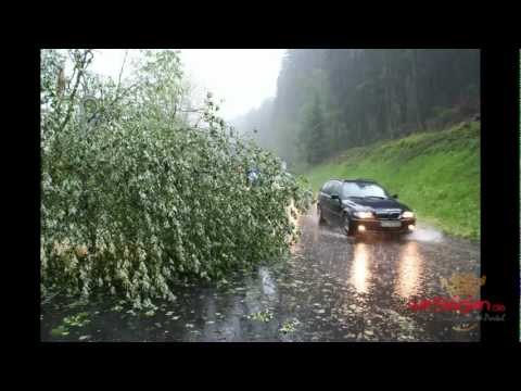 Unwetter im Bereich Netphen: Blitzeinschläge und Bäume auf der Straße