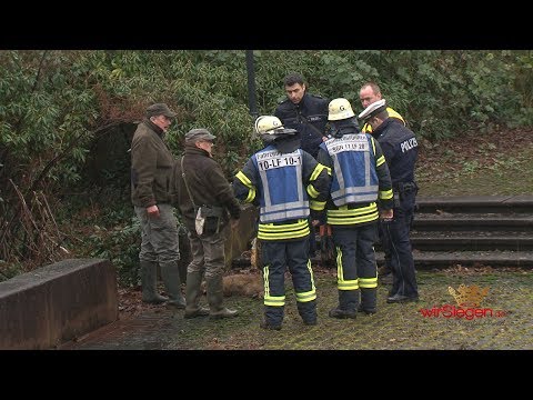 Wildschweinjagd in der Siegener Innenstadt (Siegen/NRW)