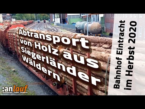 Abtransport Borkenkäfer-Holz mit der Kreisbahn vom Bahnhof Eintracht Siegen
