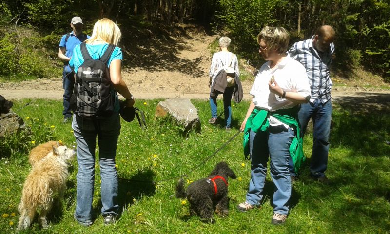 Gruppe „Wald und Flur mit Hund"