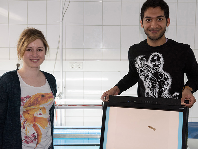 Gast-Student Shumail Ahmad arbeitet zusammen mit seiner Betreuerin Stefanie Gierszewski mit einer Software, die einen möglichst authentischen virtuellen 3D-Fisch erstellen kann.