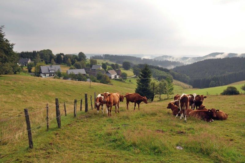 Ein Thema der Infoveranstaltung für Landwirte ist die Prämienerhöhung im Vertragsnaturschutz. (Foto: Peter Fasel)