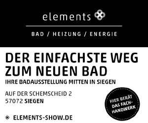 elements show schedler 300 250